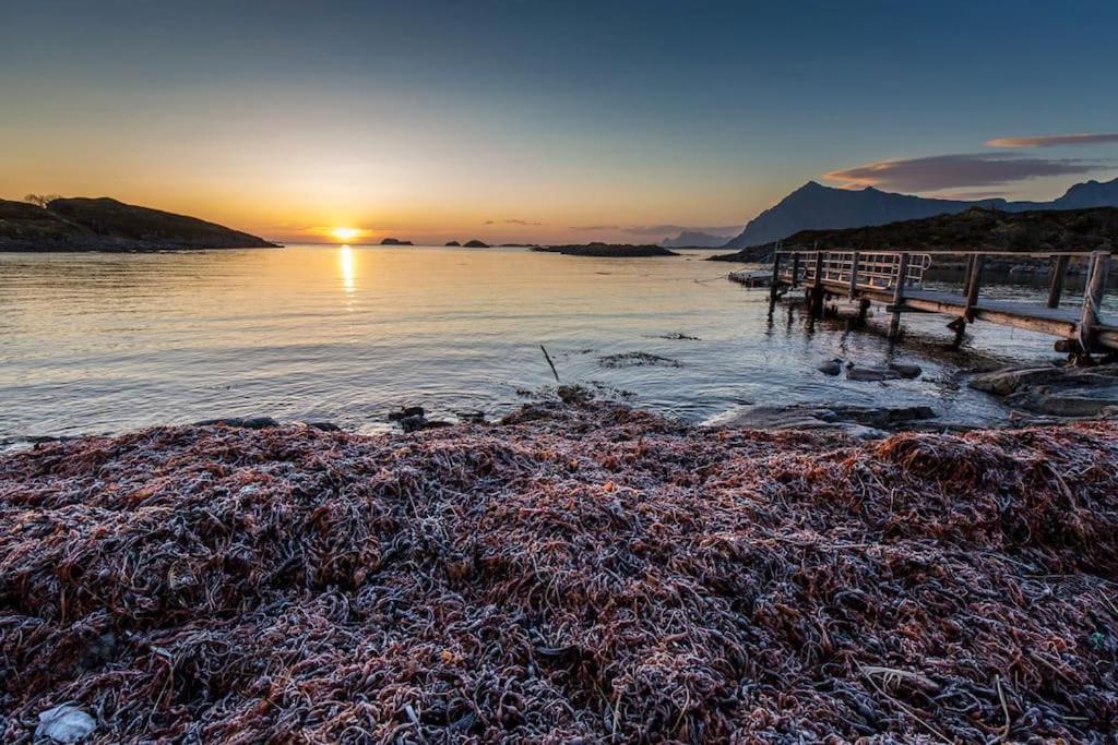 Lofoten - New Apartment, Close To Airport. 레크네스 외부 사진
