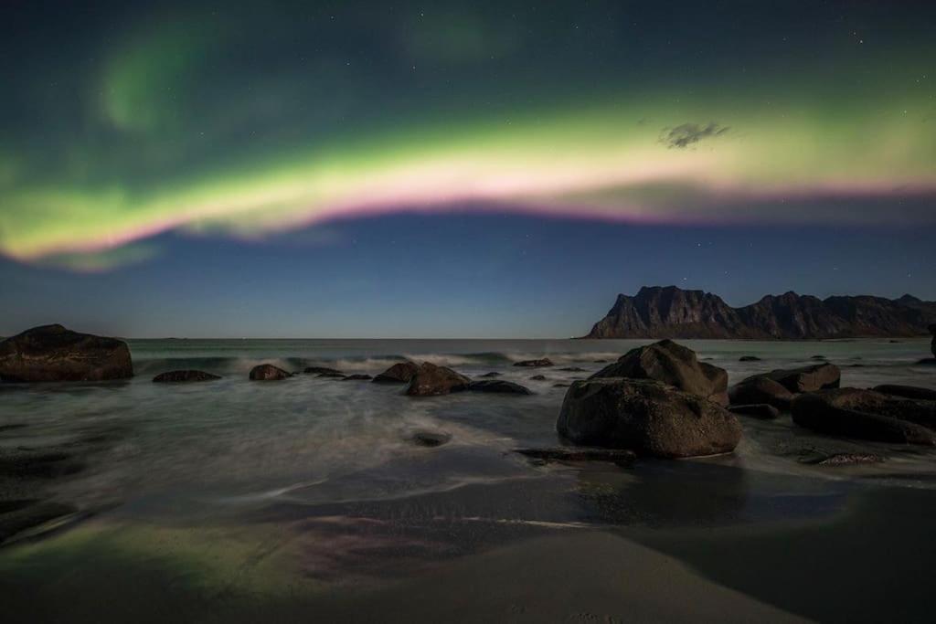 Lofoten - New Apartment, Close To Airport. 레크네스 외부 사진